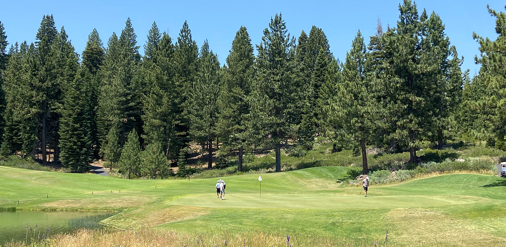 members golfing